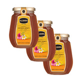 Natural Honey 17.64 oz (500g) - Pack of 3 image 0