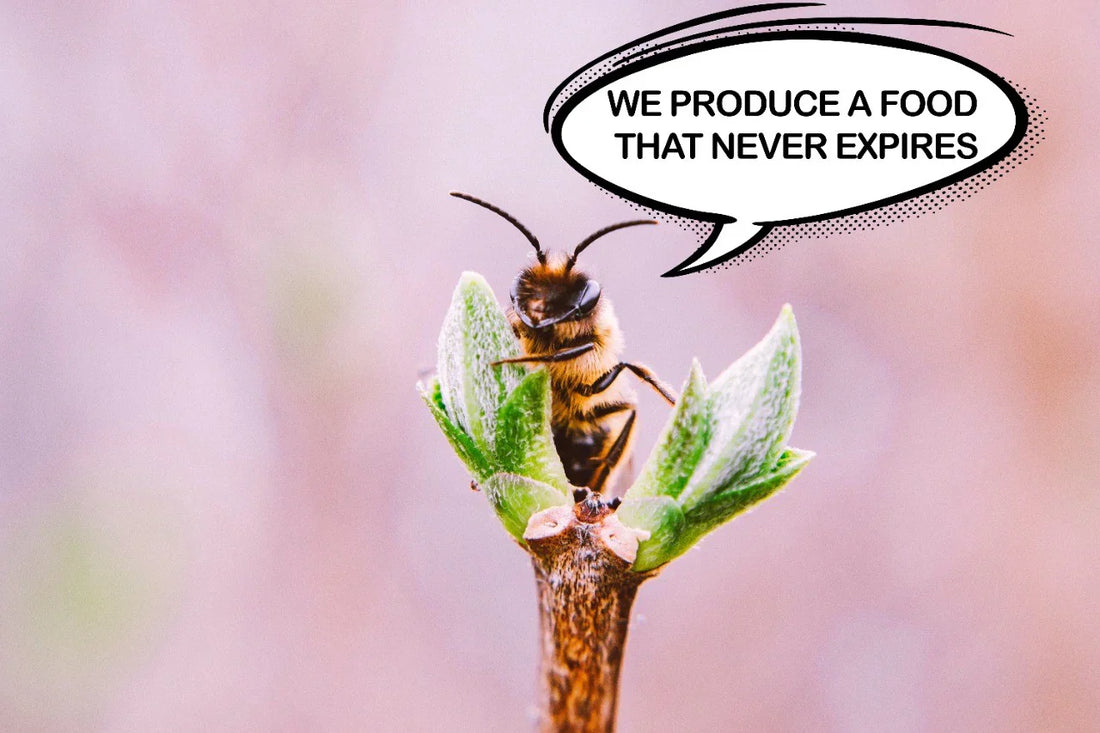 Honeybee on a plant bud with a speech bubble reading that honey is a food that never expires
