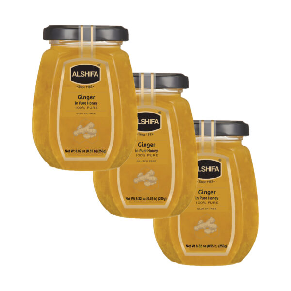 Ginger in pure honey 8.8 oz (250g) - Pack of 3