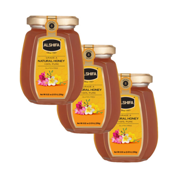 Natural Honey 8.8 oz (250g) - Pack of 3