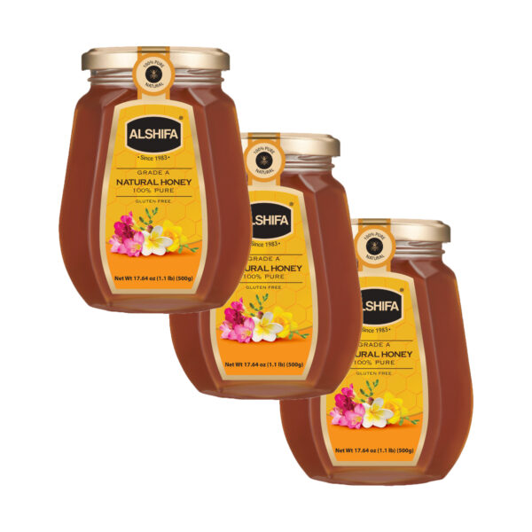 Natural Honey 17.64 oz (500g) - Pack of 3