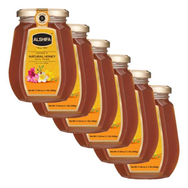 Natural Honey 17.64 oz (500g) - Pack of 6